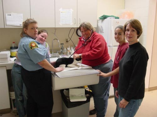 Animal Care & Control Volunteers. Animal Care & Control Volunteers.