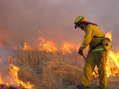 Fire & Emergency Services Volunteers. Fire & Emergency Services Volunteers.