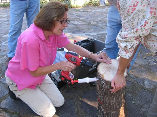 Regional Parks Volunteer. Regional Parks Volunteer.